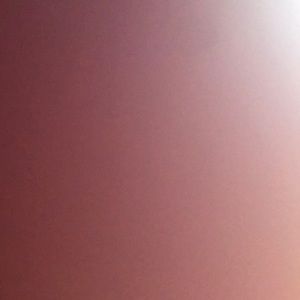 Meet your Posher, Tyallia